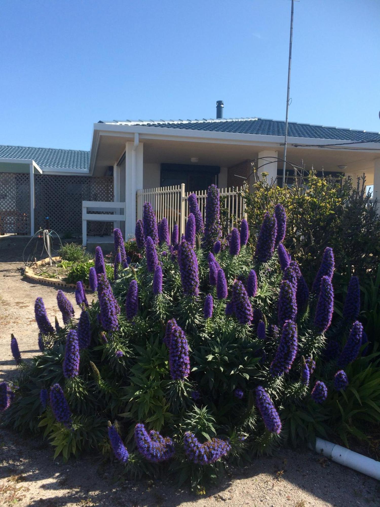 Salty Air Apartments Kingscote Kangaroo Island Ngoại thất bức ảnh